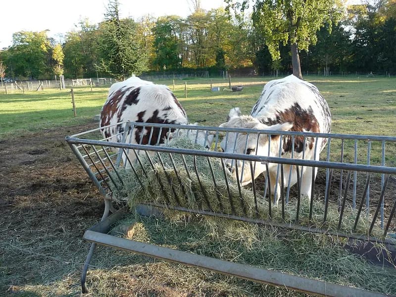 Ferme pédagogique