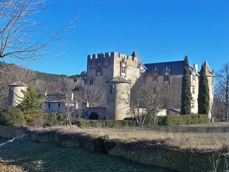 Château d'Allemagne en Provence
