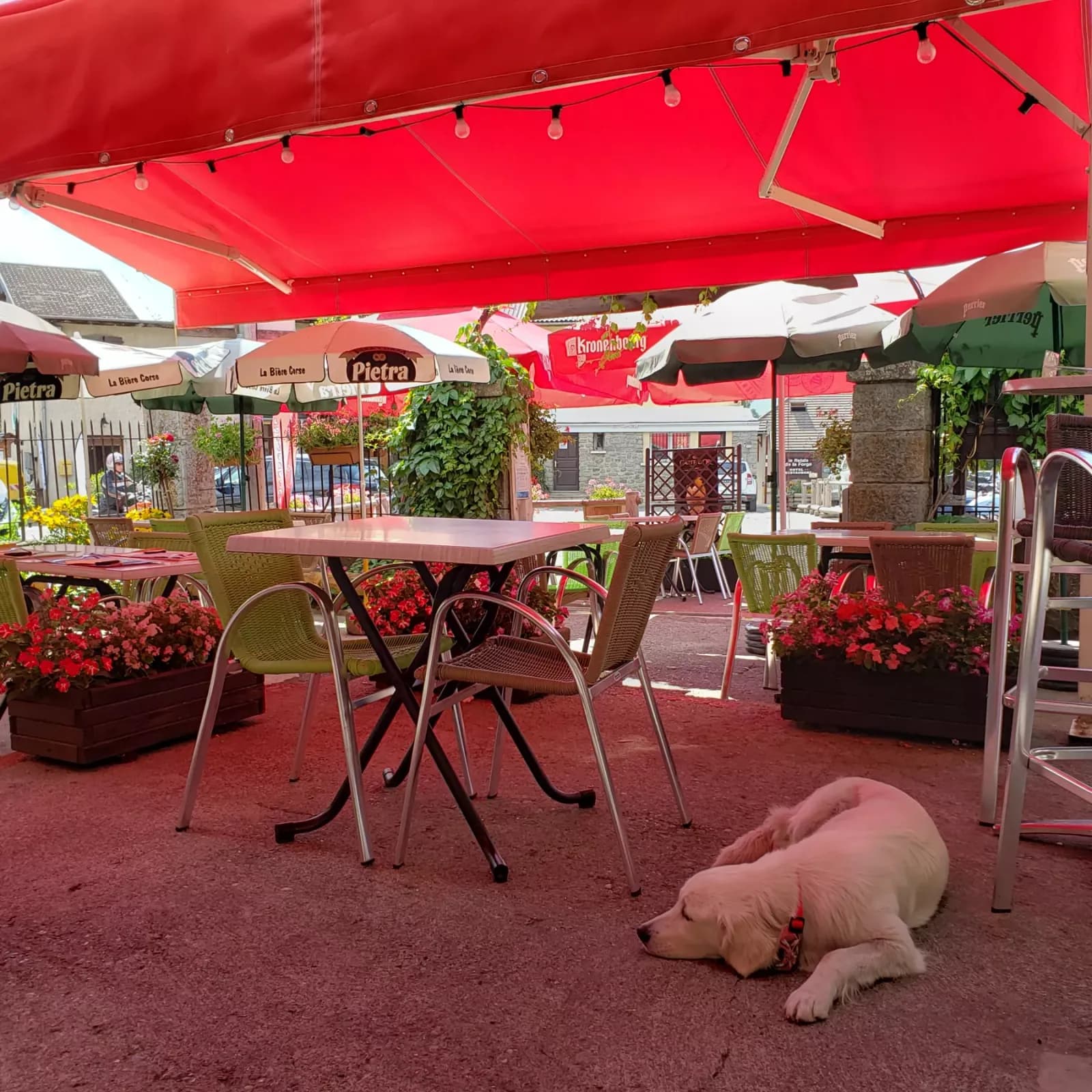 Apéro, Musico, Dégusto - Chez le Poète