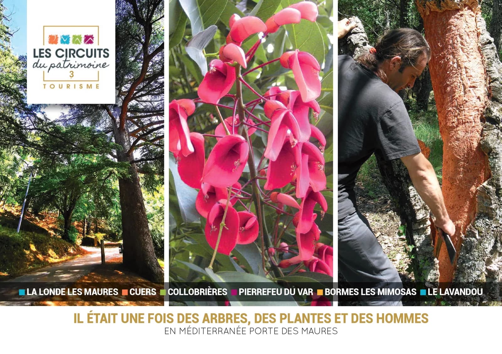 Les Circuits du Patrimoine : Il était une fois des Arbres, des Plantes et des Hommes en Méditerranée Porte des Maures