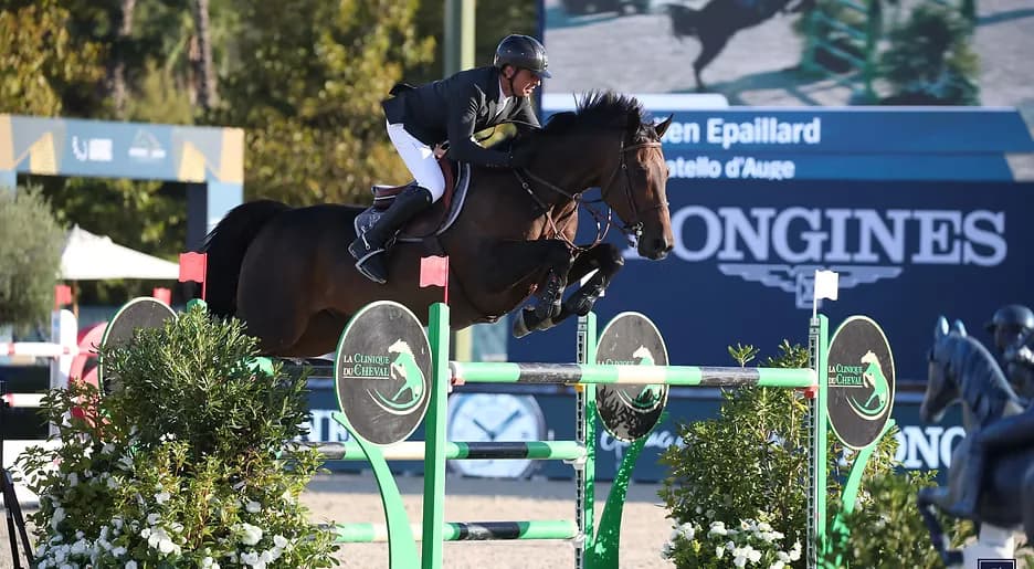 Tournois de Jumping - Haras de Gassin