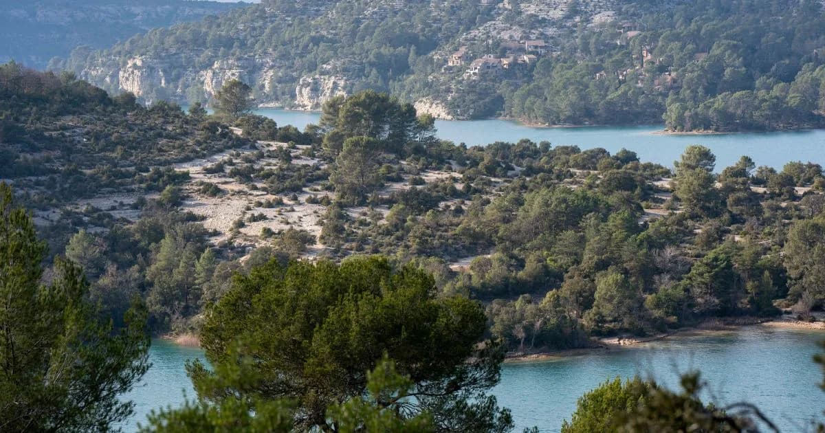 A la découverte des roselières et herbiers aquatiques