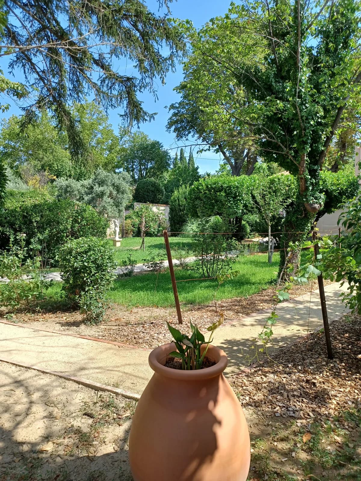 Les jardins de Jean Giono, un champ d'expérimentation et d'imaginaire
